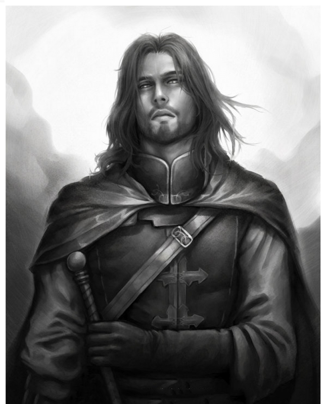 Благородный персонаж. Полуэльф Паладин Аристократ. Рыцарь Дунэдайн. Рыцарь с длинными волосами.