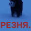 [Драконьи острова: Берега Пробуждения] [Искатель приключений на Берегах Пробуждения: О'нанк Пескорой]