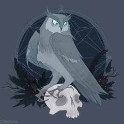 Dead Owl