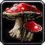 [Огненные Лисы] Пещера и грибы, грибы, грибы...