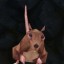 Изменение текстуры персонажа на текстуру крысы.