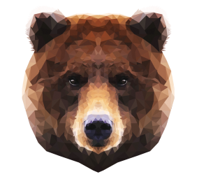 Wild_Bear Wild_Bear