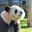 LittlePanda