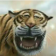 [Механики Газлоу] "Цул'до влюбился в "Тигрицу" " | Тигр не ящер и обезьяна, но охотиться на него придётся.