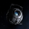 Zerg314