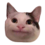 Пополнение на корабле