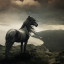 = ''Конь, что потерял хозяина во время войны'' - |1 часть|