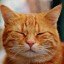 [Корвус Кортис] Обучение юной девы (2/8)