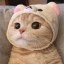 [Корвус Кортис] О тайном и светлом