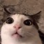 Zeru