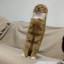 [Корвус Кортис] Время для элементов первой помощи