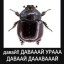 [Тени Короля] Спасение Пулькиты... или же покушение на неё? [18+]
