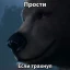 Мишка мишка конопатый...